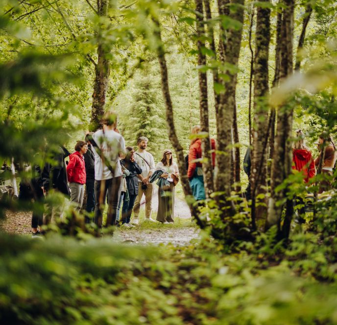 Footprint Festival 2024 