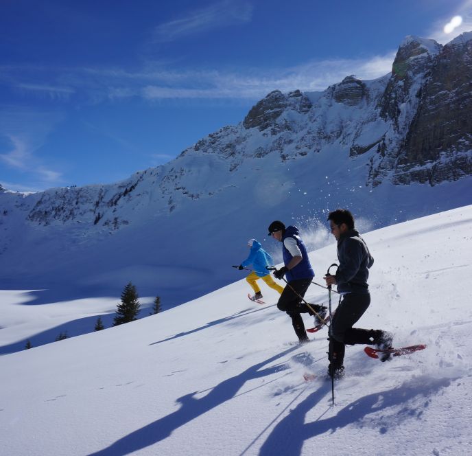 Schneeschuhwanderung