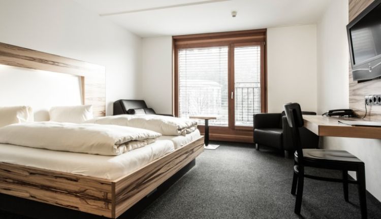 Zimmer Löwen Nofels