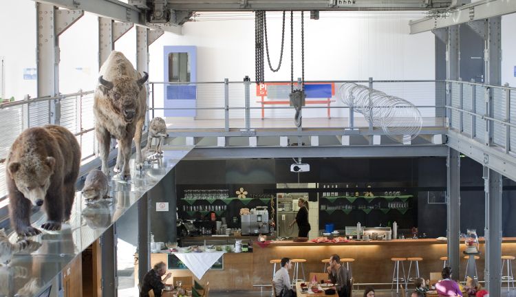 Foyer der inatura Erlebnisnaturschau in Dornbirn Foyer der inatura Erlebnisnaturschau in Dornbirn