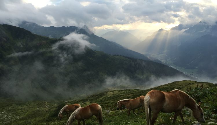 Umgebung Kaltenberghütte, Stuben am Arlberg