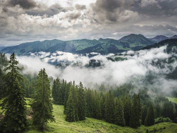 Kleinwalsertal im Nebel Kleinwalsertal im Nebel