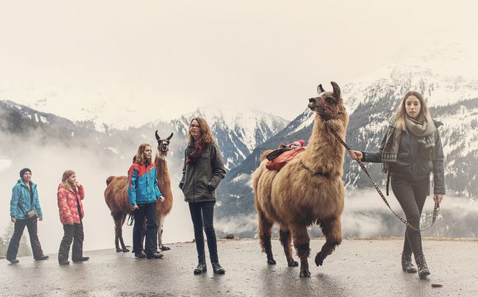 Wandern mit Lamas, Silbertal in Vorarlberg Wandern mit Lamas, Silbertal in Vorarlberg
