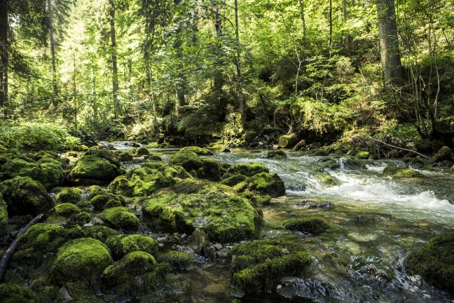 Bergbach, Kleinwalsertal Bergbach, Kleinwalsertal